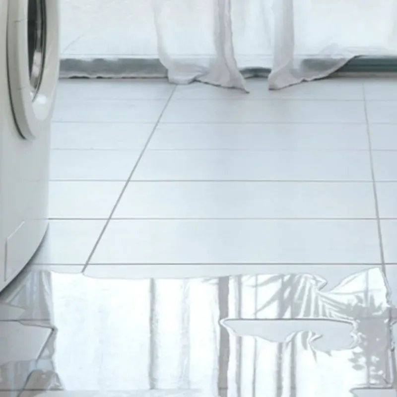 Appliance Leak Cleanup in Spencer, WV
