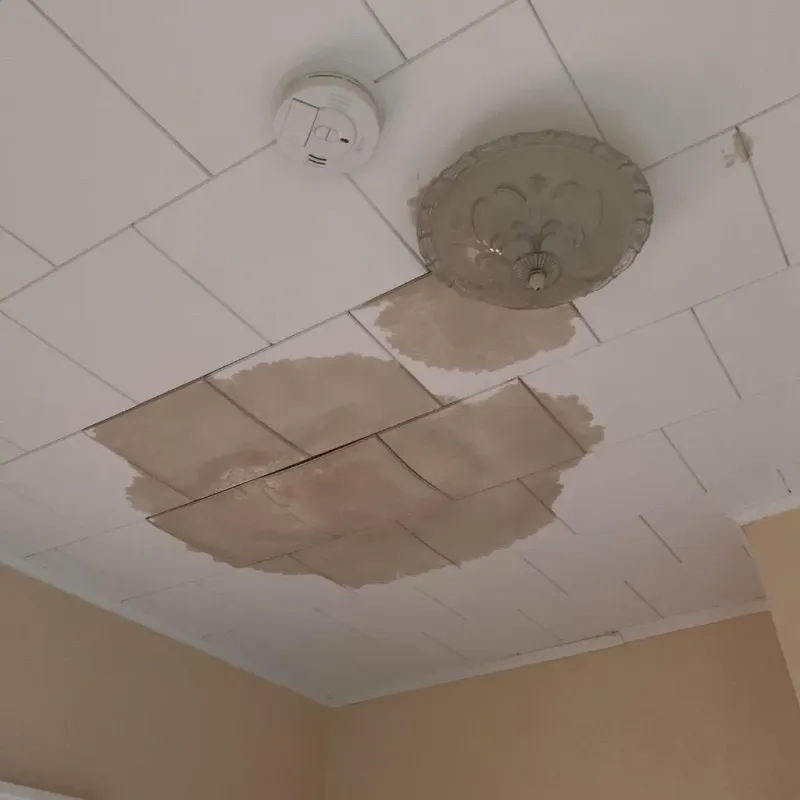 Ceiling Water Damage Repair in Spencer, WV