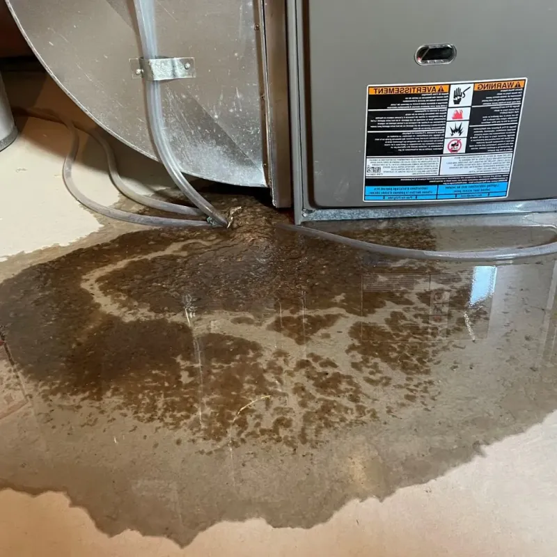 Pipe Burst and Leak Restoration in Spencer, WV