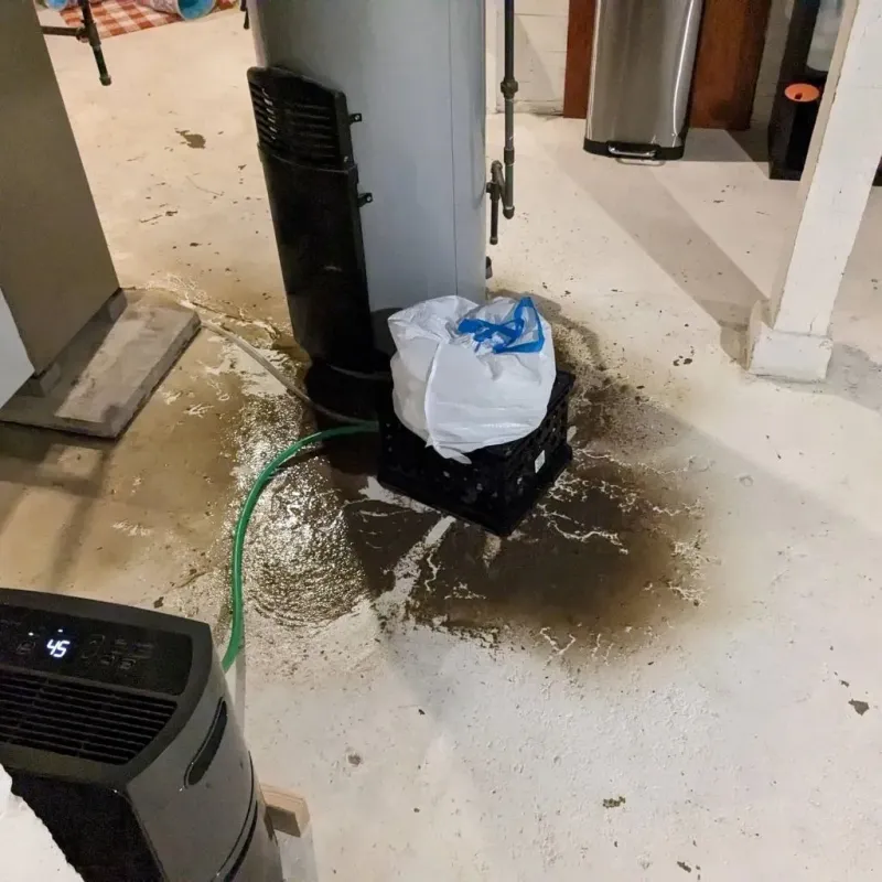 Sewage Backup Cleanup Service in Spencer, WV